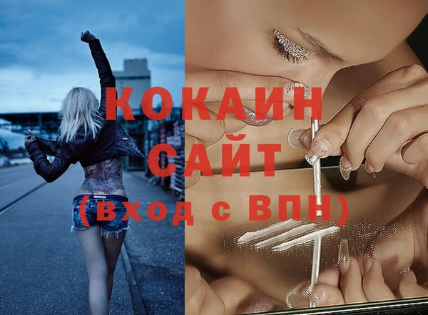 индика Балабаново