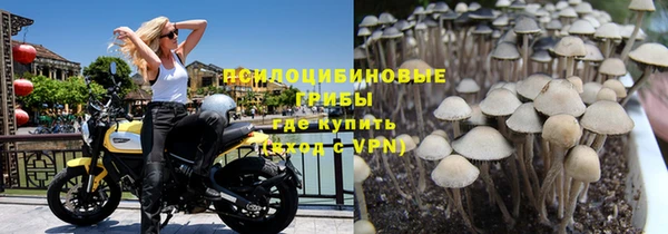 трава Балахна