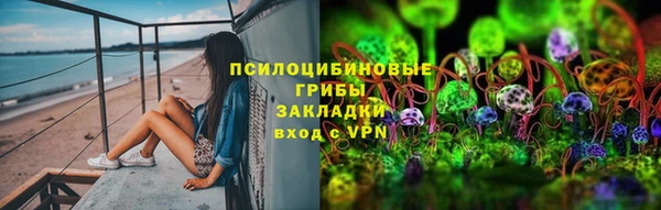индика Балабаново